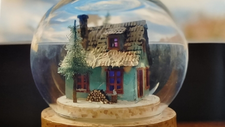 Wyniki Szkolnego Konkursu Fotograficznego